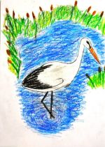 Straňanková Barbara.jpg